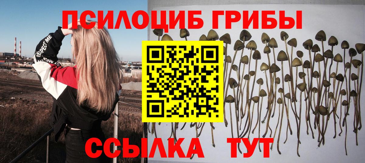 Галлюциногенные грибы MAGIC MUSHROOMS  Вход с VPN  Усолье-Сибирское 